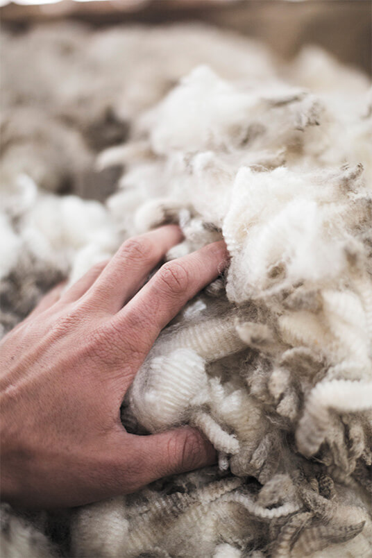 nativa fournit des fibres de laine haut de gamme avec une traçabilité de bout en bout aux marques les plus en vogue.